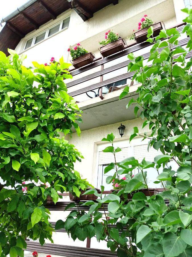 Apartman Kod Dide I Bake วูโควาร์ ภายนอก รูปภาพ